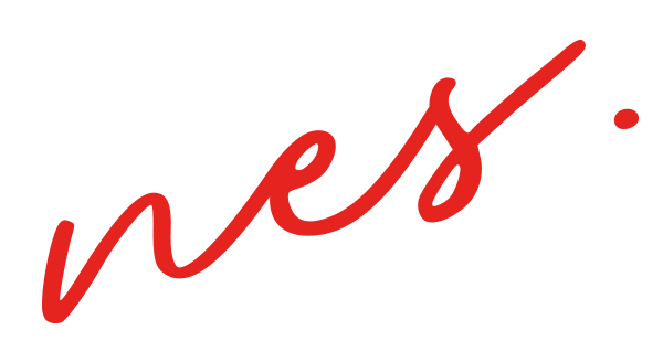 nes logo